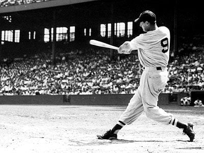 Ted Williams Baseball