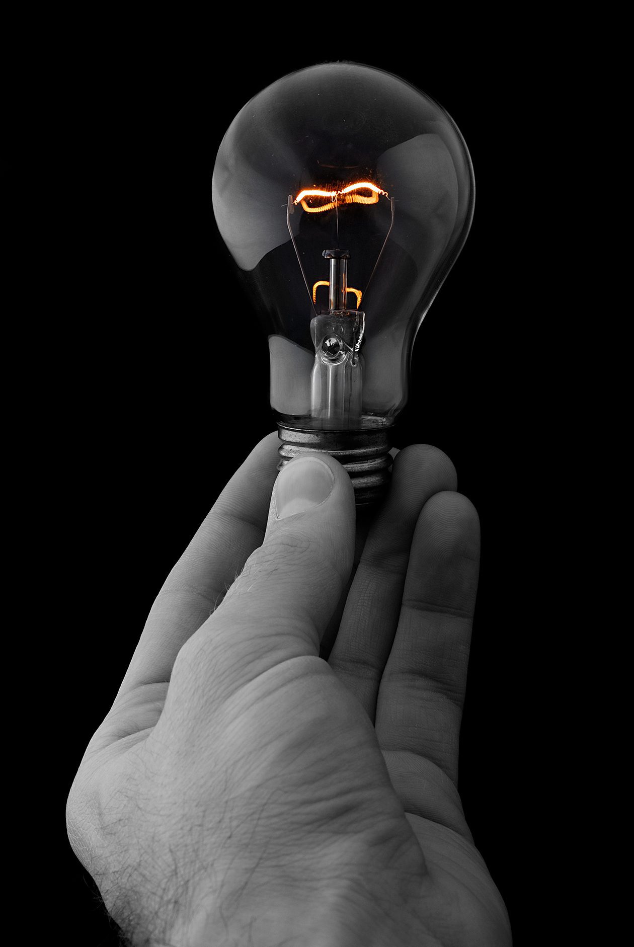 lightbulb