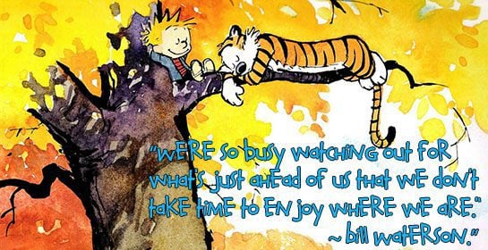 Calvin & Hobbes Living in the Moment